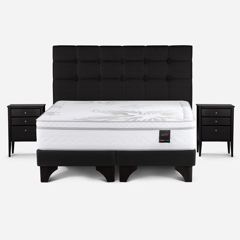 CAMA EUROPEA ROSEN ART 4 SÚPER KING + SET ISSEY GRAFITO - 1