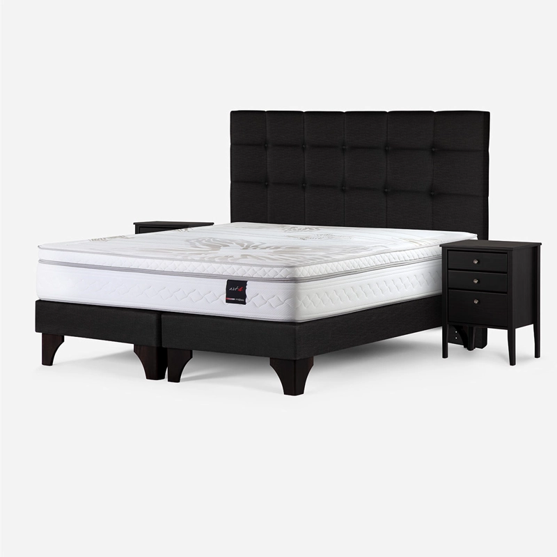 CAMA EUROPEA ROSEN ART 4 SÚPER KING + SET ISSEY GRAFITO - 2