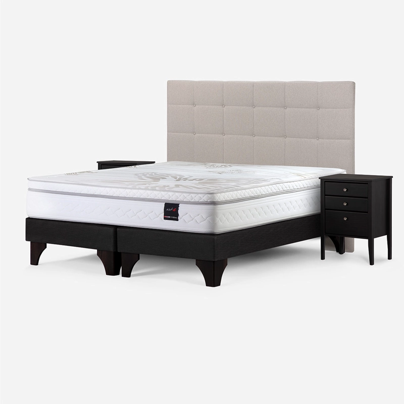 CAMA EUROPEA ROSEN ART 4 SÚPER KING + SET ISSEY BEIGE - 2