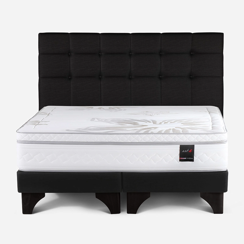 CAMA EUROPEA ROSEN ART 4 SÚPER KING + RESPALDO ISSEY GRAFITO - 1