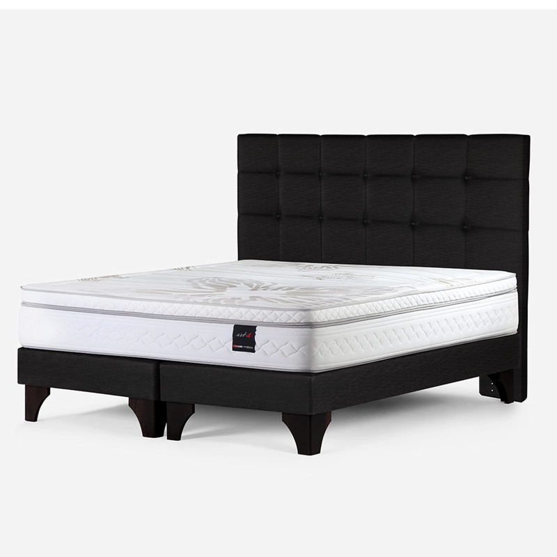 CAMA EUROPEA ROSEN ART 4 SÚPER KING + RESPALDO ISSEY GRAFITO - 2