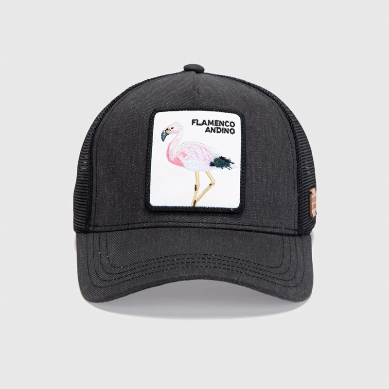 GORRA WILD LAMA FLAMENCO ORGÁNICO - 1