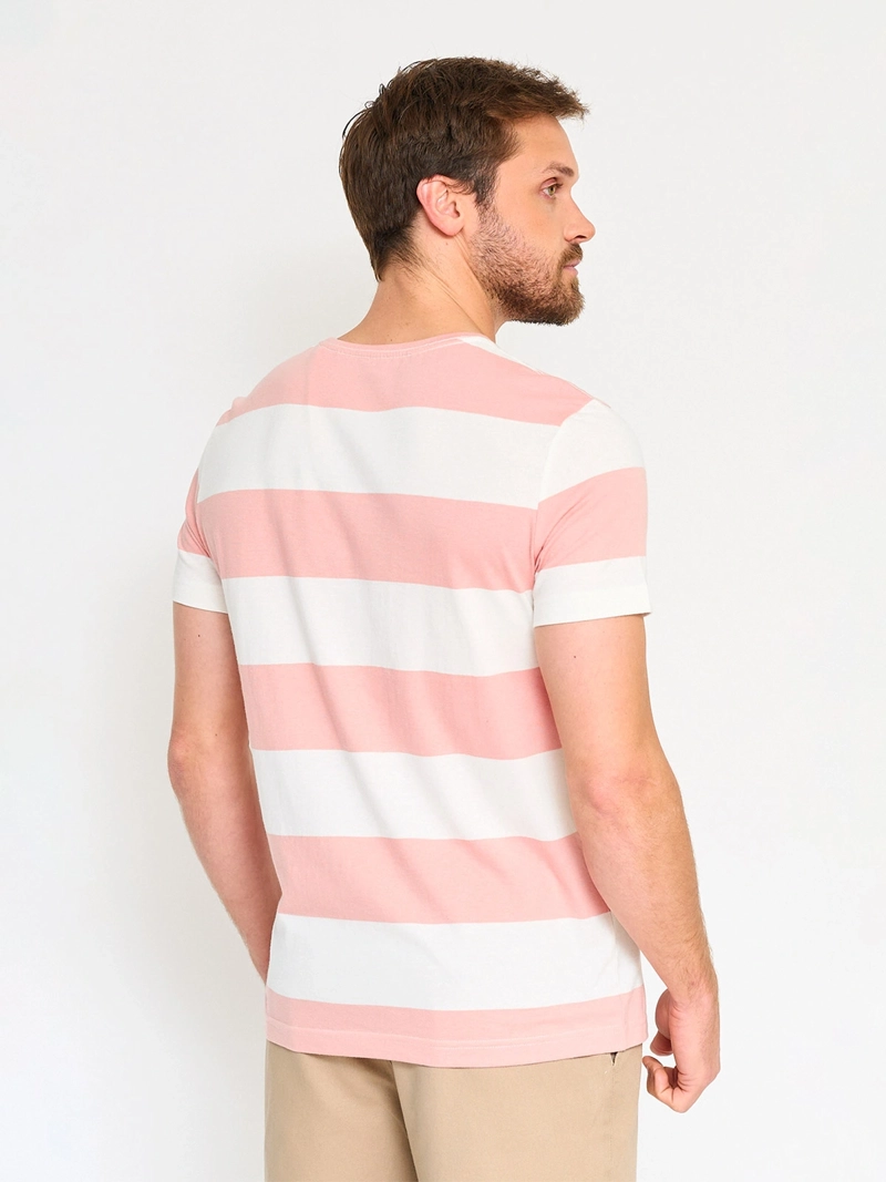 POLERA MANGA CORTA ALGODÓN HOMBRE KENNETH STEVENS DARIS CUELLO REDONDO - 2