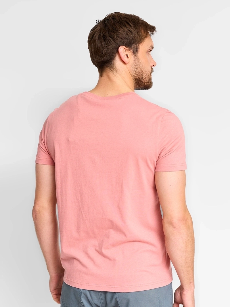 POLERA MANGA CORTA ALGODÓN HOMBRE KENNETH STEVENS CUELLO REDONDO - 2