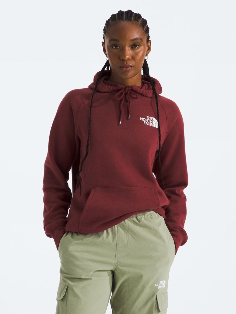 POLERÓN CON CAPUCHA HOMBRE THE NORTH FACE ALGODÓN BOX NSE PULLOVER - 1