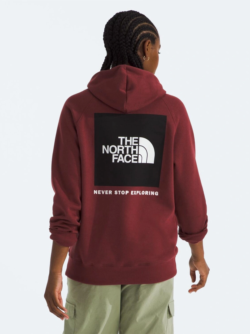 POLERÓN CON CAPUCHA HOMBRE THE NORTH FACE ALGODÓN BOX NSE PULLOVER - 2