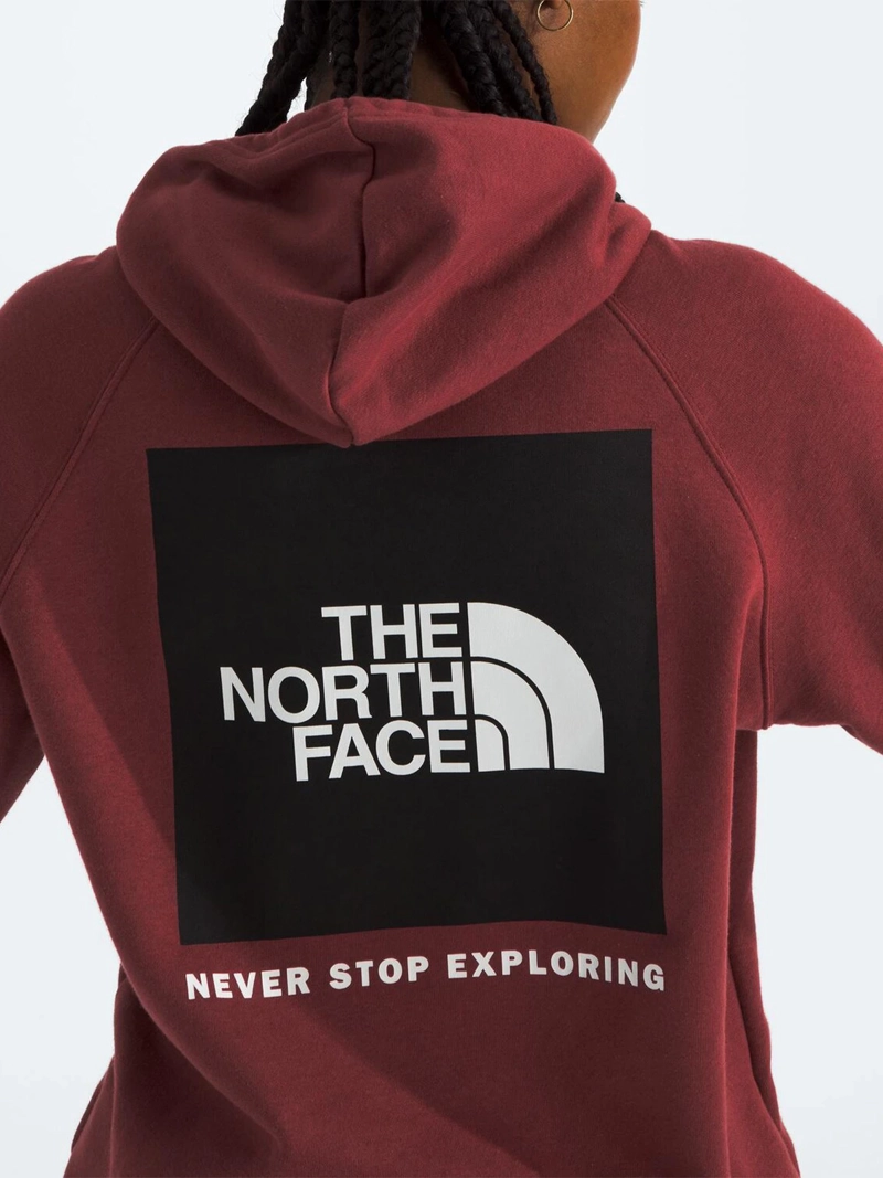 POLERÓN CON CAPUCHA HOMBRE THE NORTH FACE ALGODÓN BOX NSE PULLOVER - 3