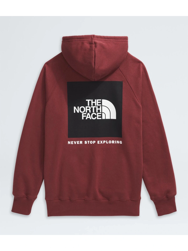 POLERÓN CON CAPUCHA HOMBRE THE NORTH FACE ALGODÓN BOX NSE PULLOVER - 4