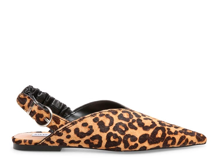 ZAPATOS CUERO MUJER STEVE MADDEN ZETA-L - 1