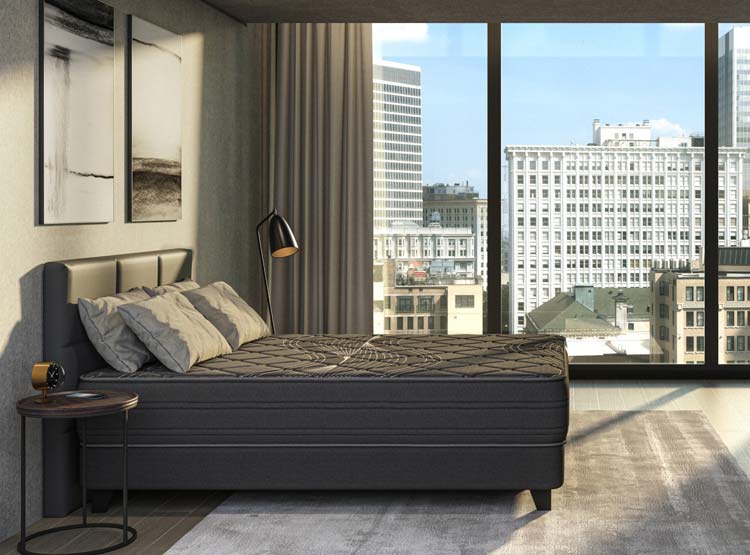 CAMA EUROPEA FLEX PREMIUM BLACK 2 PLAZAS B/D + 2 ALMOHADAS ROYAL - 5