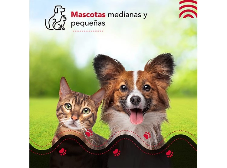 COMEDERO PERROS Y GATOS THOR PET AUTO FEEDER THORBEN - 8