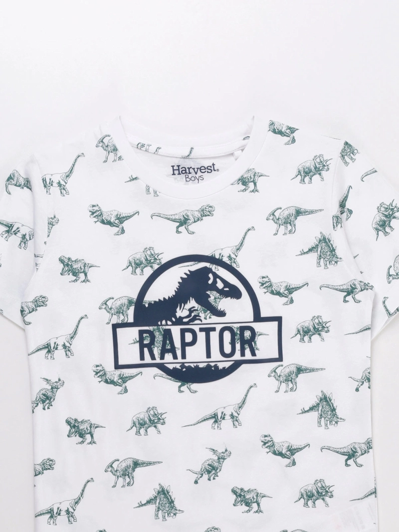 POLERA MANGA CORTA ALGODÓN NIÑO HARVEST PRINT - 3