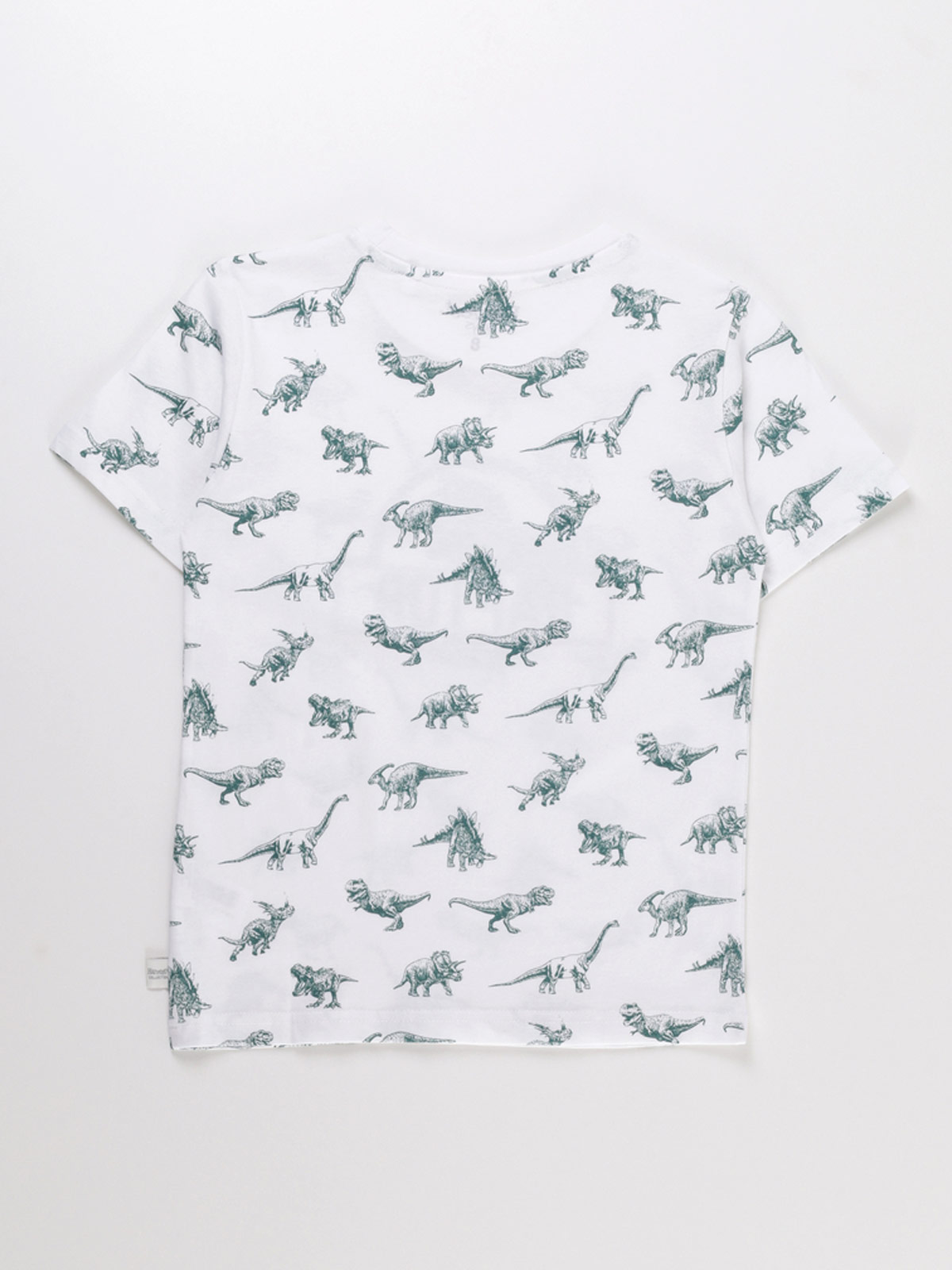 POLERA MANGA CORTA ALGODÓN NIÑO HARVEST PRINT - 2