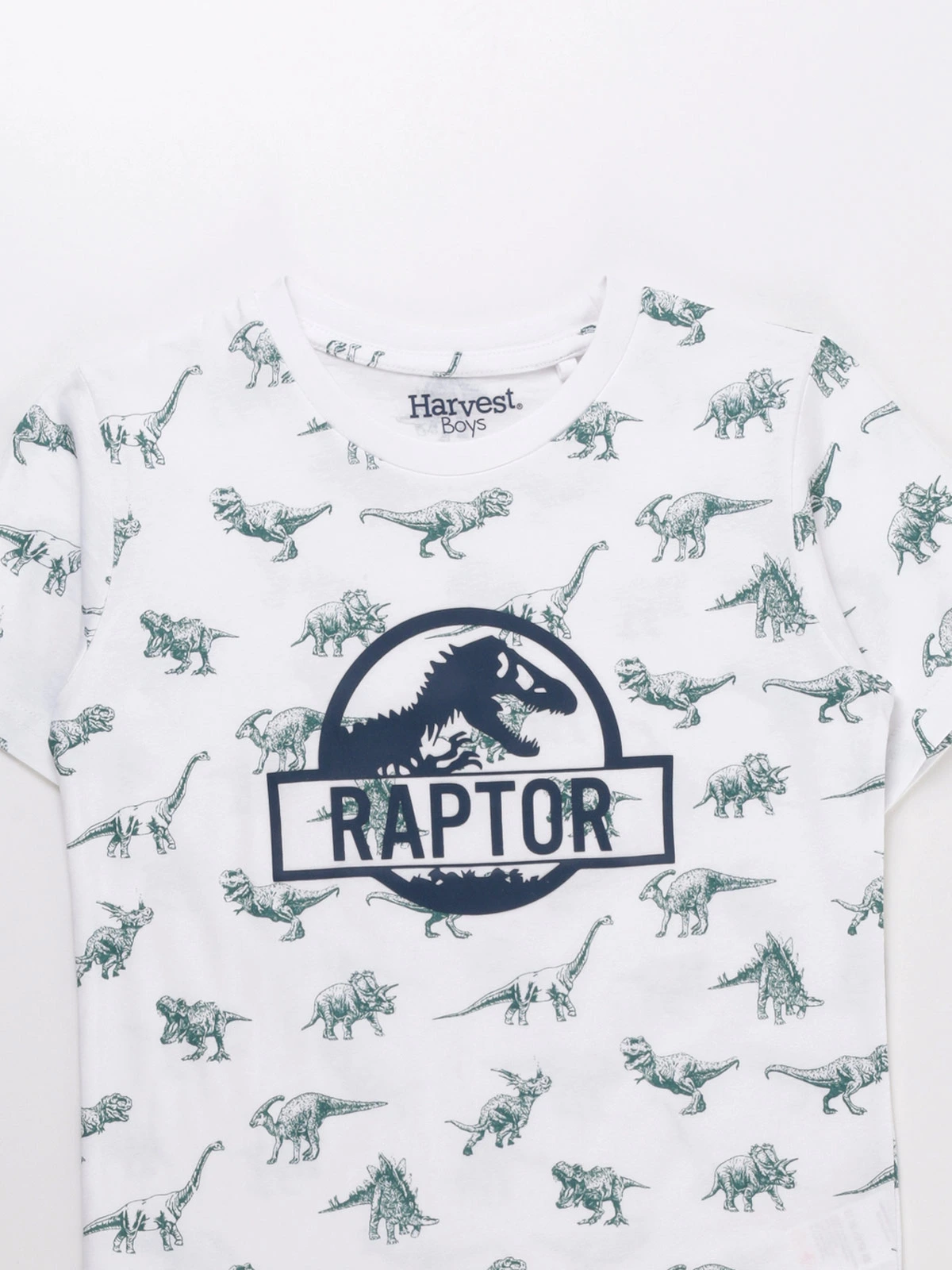 POLERA MANGA CORTA ALGODÓN NIÑO HARVEST PRINT - 3