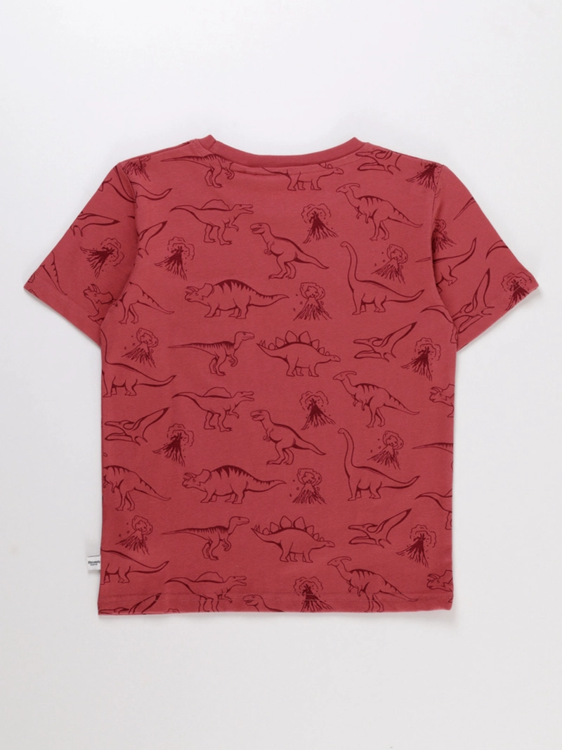 POLERA MANGA CORTA ALGODÓN NIÑO HARVEST PRINT - 2