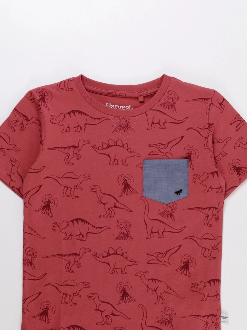 POLERA MANGA CORTA ALGODÓN NIÑO HARVEST PRINT - 3