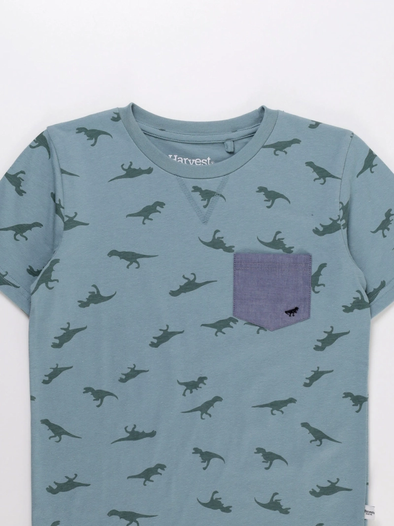 POLERA MANGA CORTA ALGODÓN NIÑO HARVEST PRINT - 3