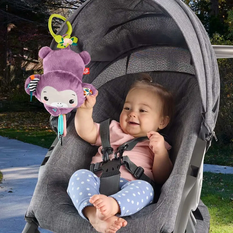 FISHER-PRICE BABY JUGUETE PARA BEBÉS CHANGUITO MUSICAL - 2