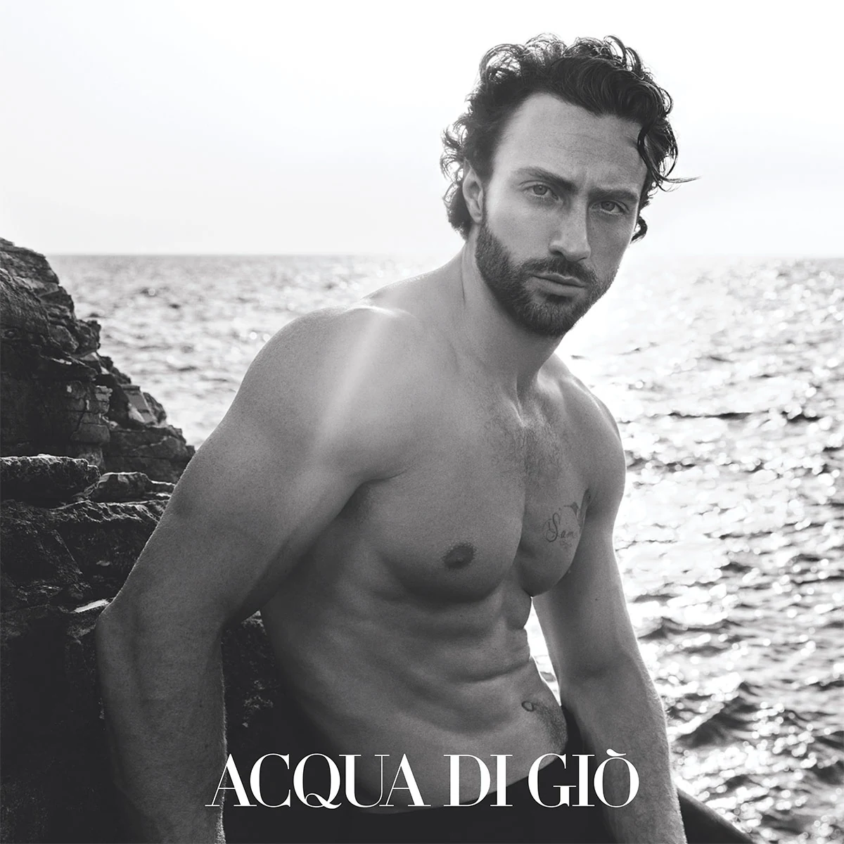 PERFUME GIORGIO ARMANI ACQUA DI GIO HOMBRE EDP 50 ML - 5
