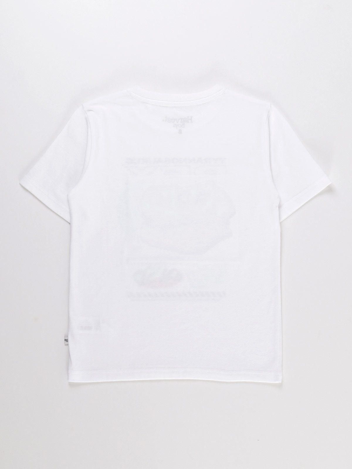 POLERA MANGA CORTA NIÑO HARVEST - 2