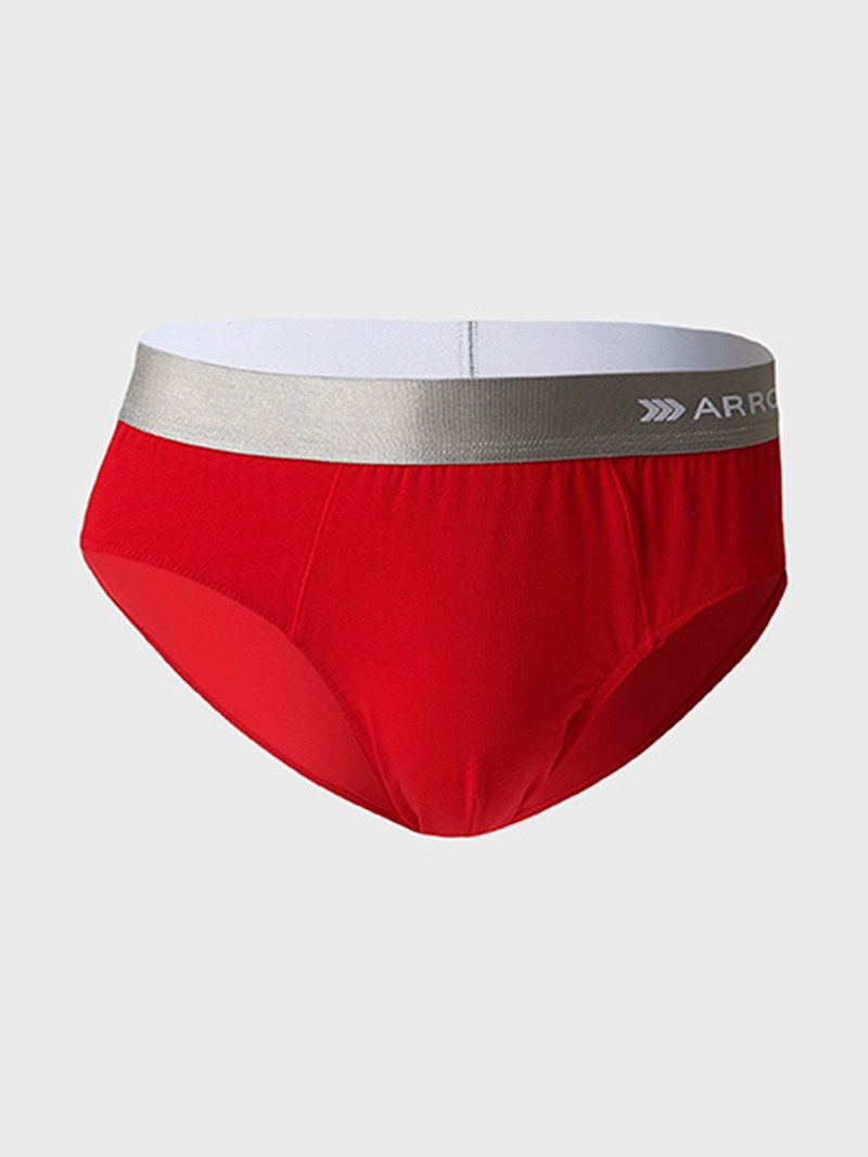 PACK 3 SLIP ALGODÓN HOMBRE ARROW MULTICOLOR SLD3002T - 3