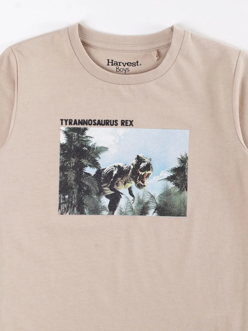 POLERA MANGA CORTA NIÑO HARVEST TIRANOSAURUS REX - 3