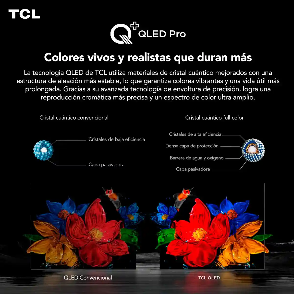 SMART TV TCL QLED 4K UHD 50” 50C6KS - 5