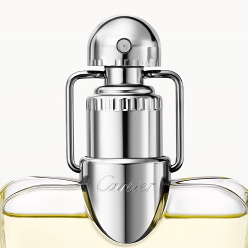 PERFUME CARTIER DECLARATION MUJER EDT 100 ML - 2