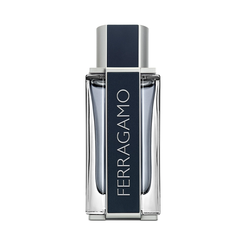 PERFUME SALVATORE FERRAGAMO POUR HOMME HOMBRE EDT 100 ML FERRAGAMO - 1