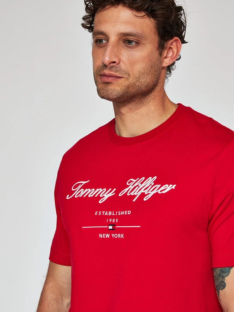 POLERA MANGA CORTA HOMBRE TOMMY HILFIGER MW0MW33691 - 3