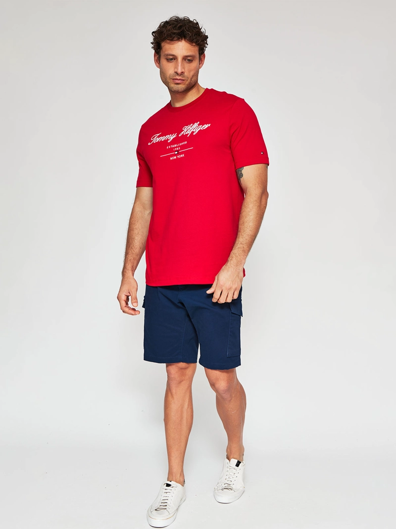 POLERA MANGA CORTA HOMBRE TOMMY HILFIGER MW0MW33691 - 4