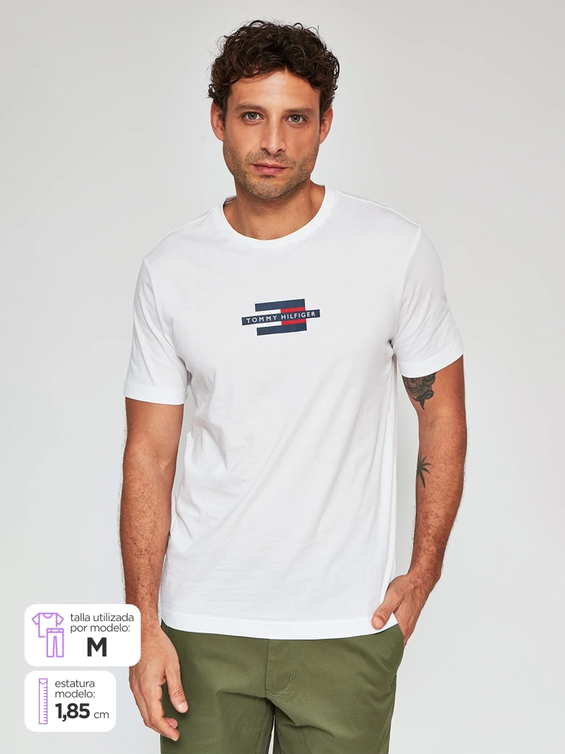 POLERA HOMBRE TOMMY HILFIGER MW0MW38636 - 1