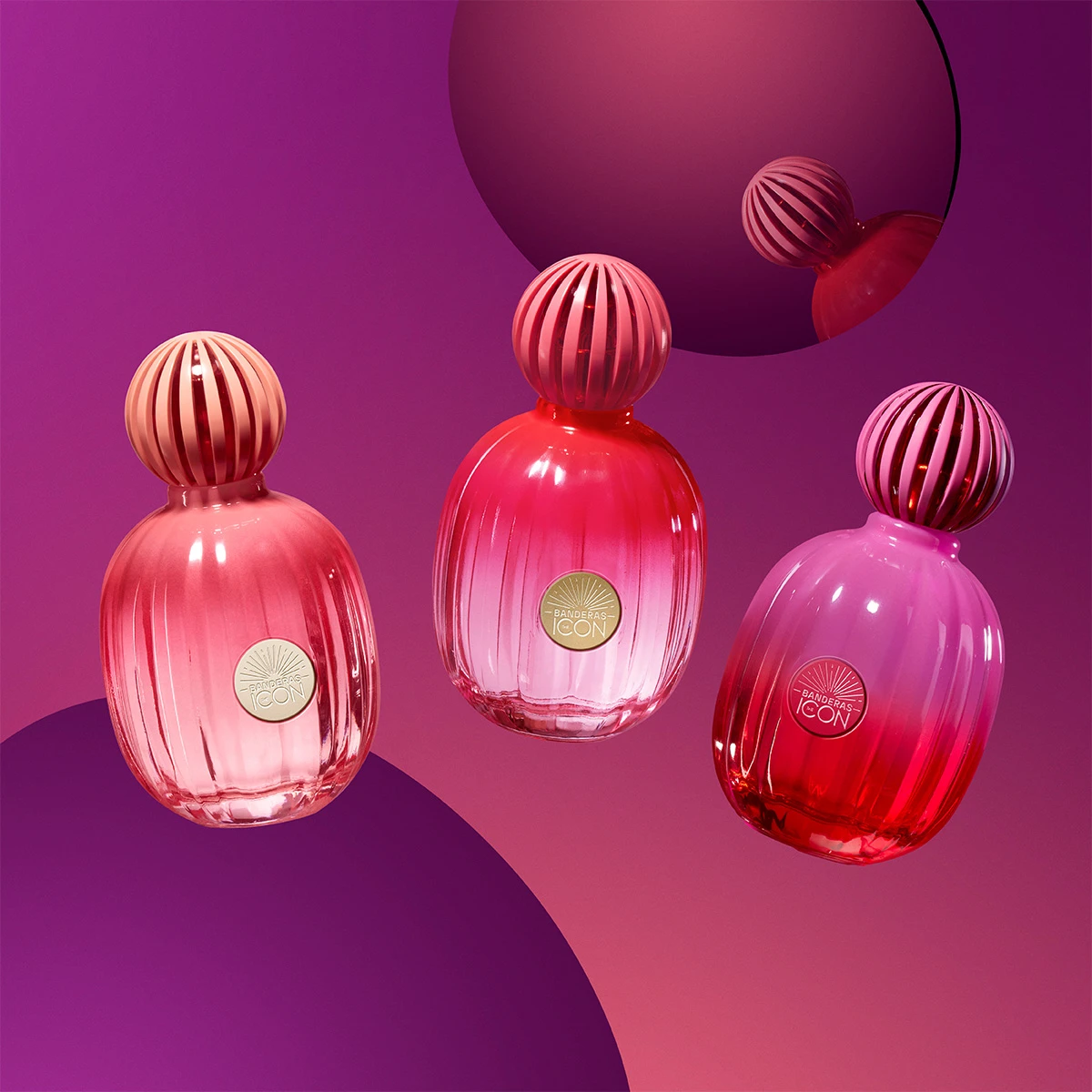 PERFUME ANTONIO BANDERAS THE ICON MUJER EDP BANDERAS SUPREME INTENSE 50 ML + LOCIÓN CORPORAL 75 ML - 4