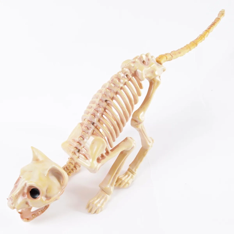 ADORNO HALLOWEEN ESQUELETO GATO DARK 30CM - 3