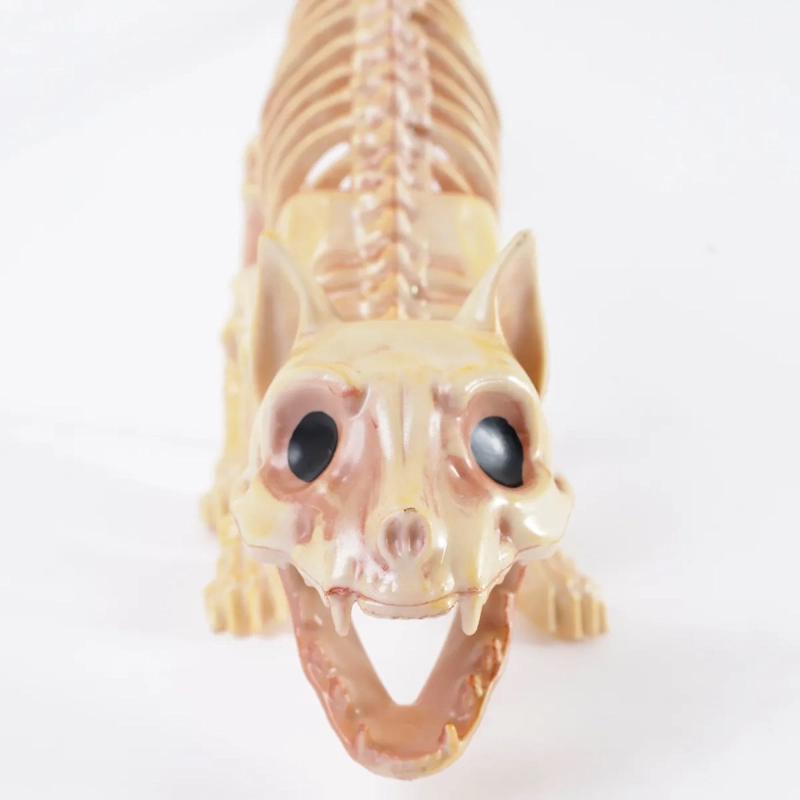 ADORNO HALLOWEEN ESQUELETO GATO DARK 30CM - 5