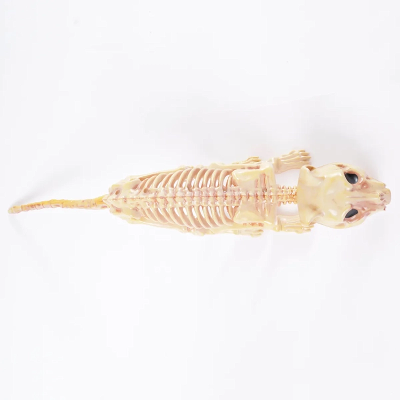 ADORNO HALLOWEEN ESQUELETO GATO DARK 30CM - 7
