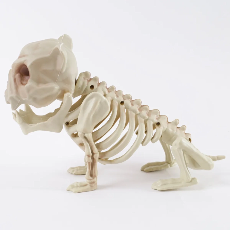 ADORNO HALLOWEEN ESQUELETO PERRO DARK 30CM - 2