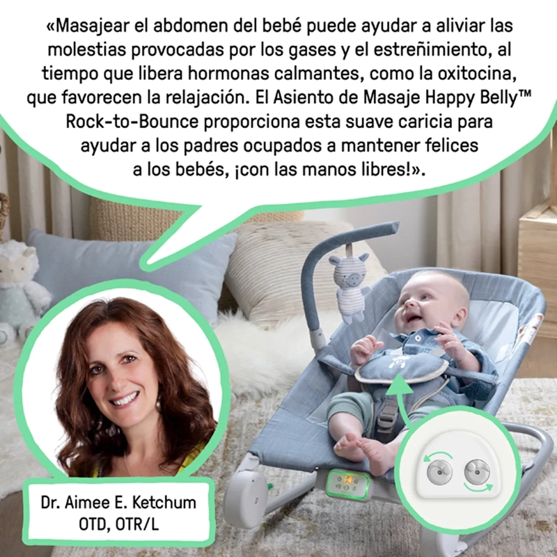 SILLA INGENUITY MULTICOLOR NIDO ROCKER HAPPY BELLY CHAMBRAY - 13