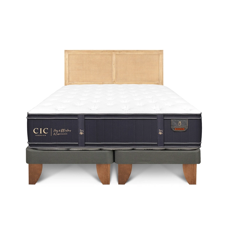 CAMA CIC EUROPEA KING + RESPALDO SAVA GRAND PREMIUM - 1
