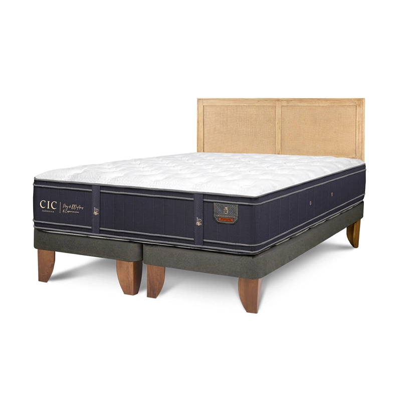CAMA CIC EUROPEA KING + RESPALDO SAVA GRAND PREMIUM - 2