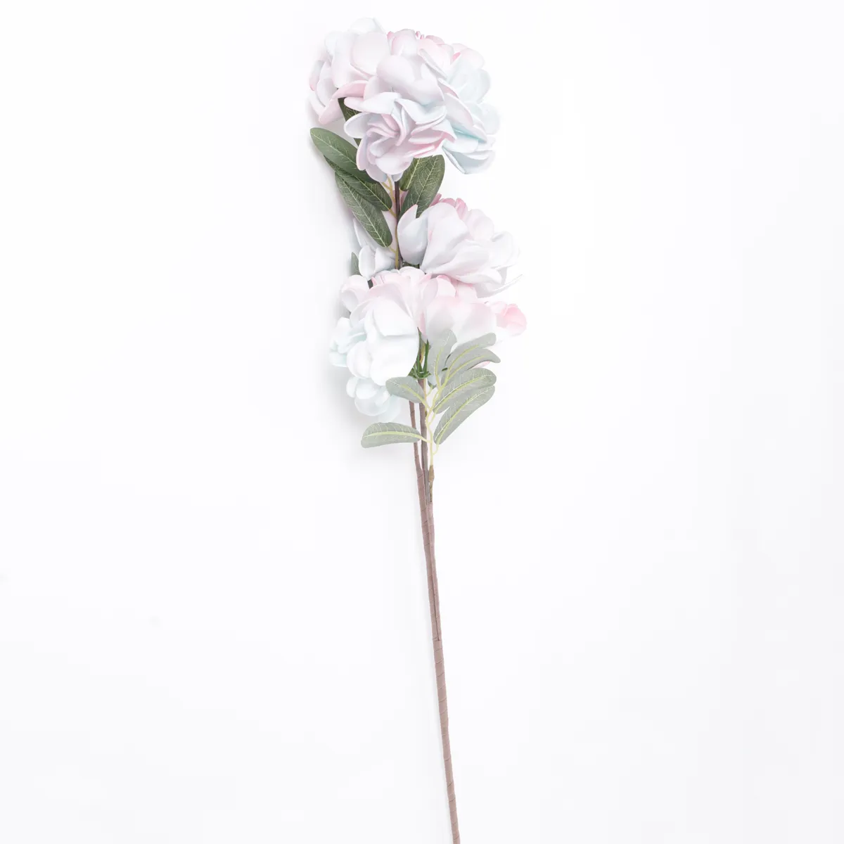 PLANTA DECORATIVA RIPLEY HOME RAMA HORTENSIA BICOLOR - 1