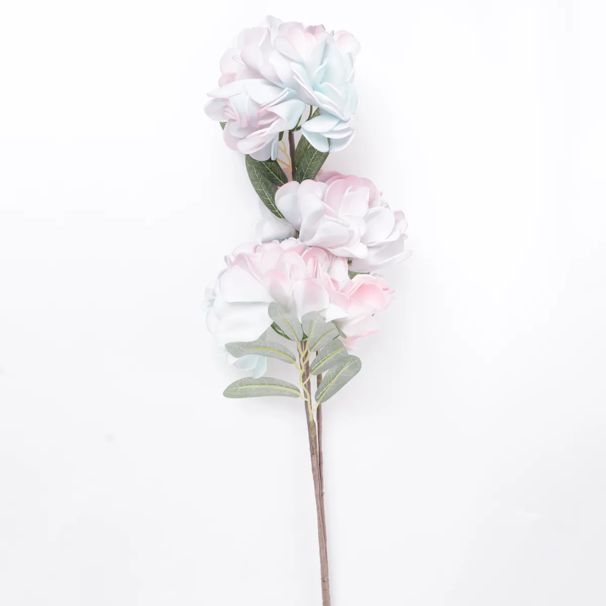 PLANTA DECORATIVA RIPLEY HOME RAMA HORTENSIA BICOLOR - 2