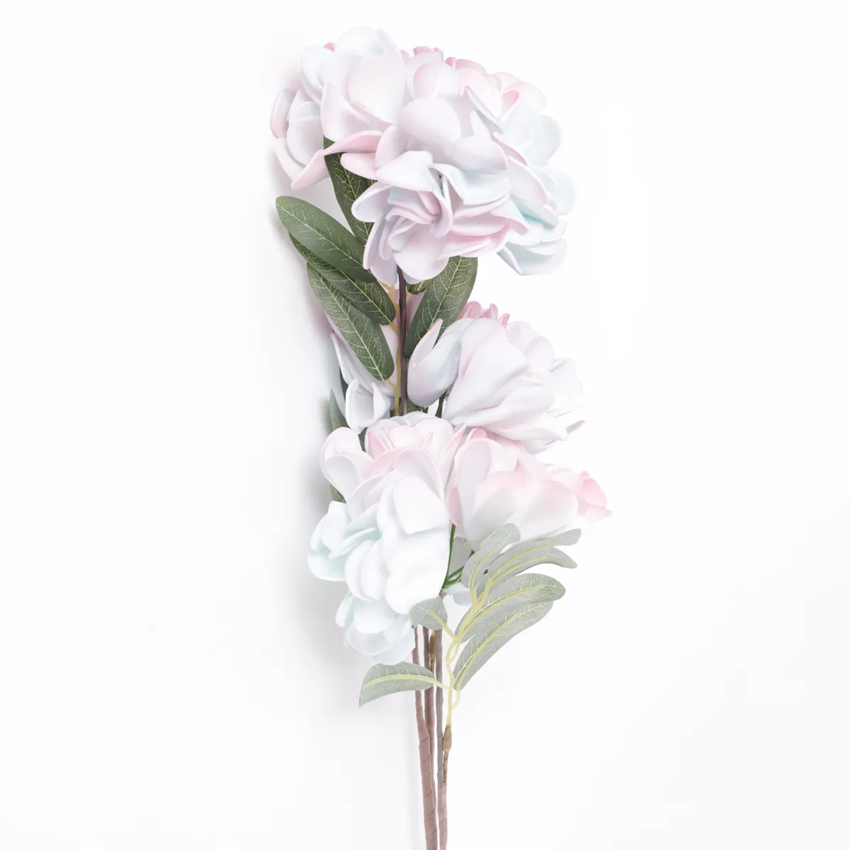 PLANTA DECORATIVA RIPLEY HOME RAMA HORTENSIA BICOLOR - 3