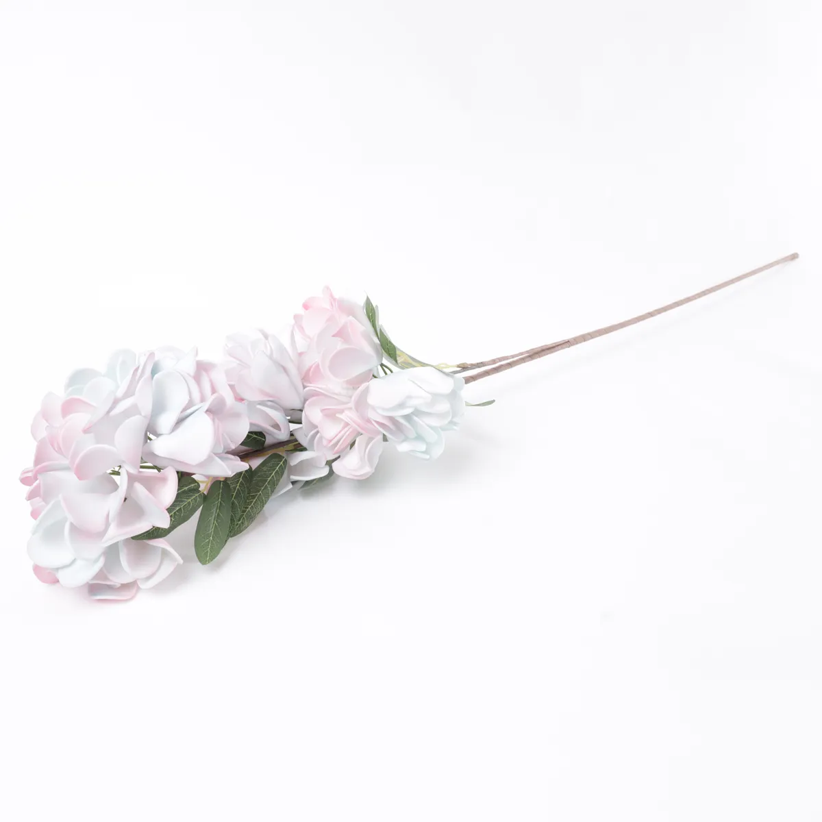 PLANTA DECORATIVA RIPLEY HOME RAMA HORTENSIA BICOLOR - 4
