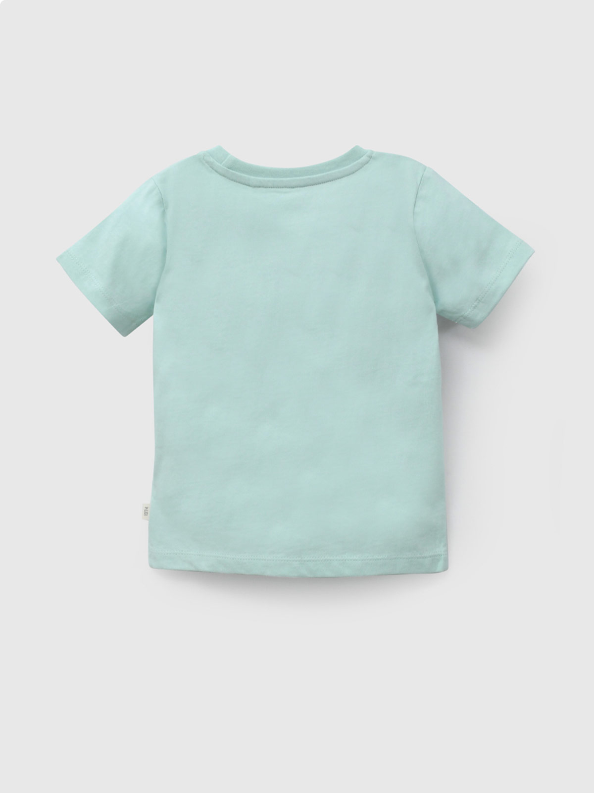 POLERA MANGA CORTA NIÑO COLLOKY TORTUGA - 2