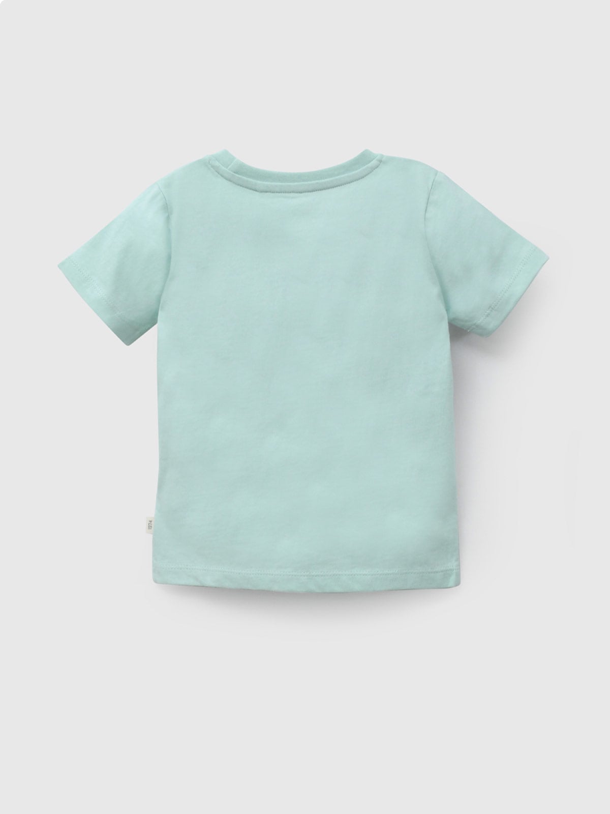 POLERA MANGA CORTA NIÑO COLLOKY TORTUGA - 2