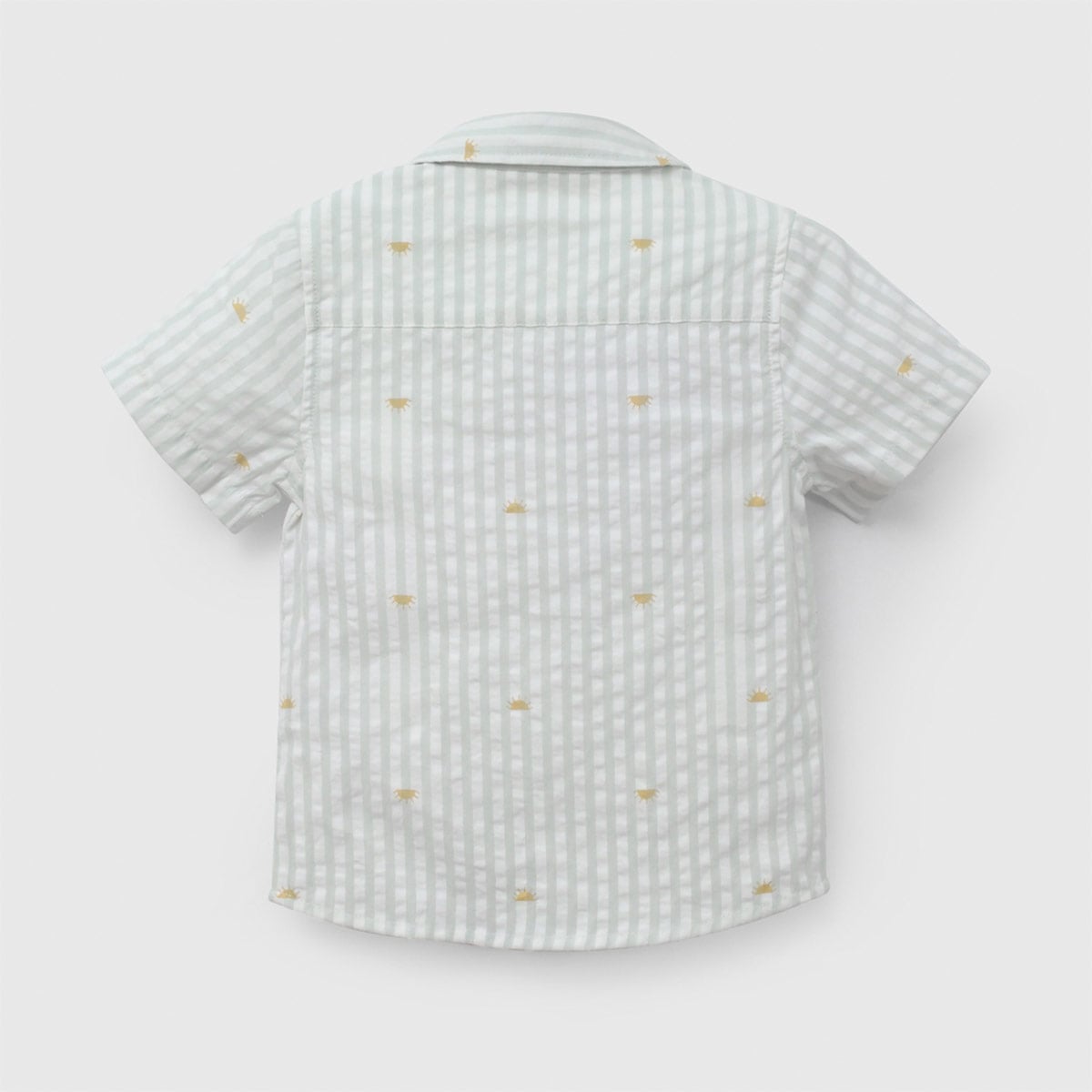 CAMISA MANGA CORTA NIÑO COLLOKY - 2