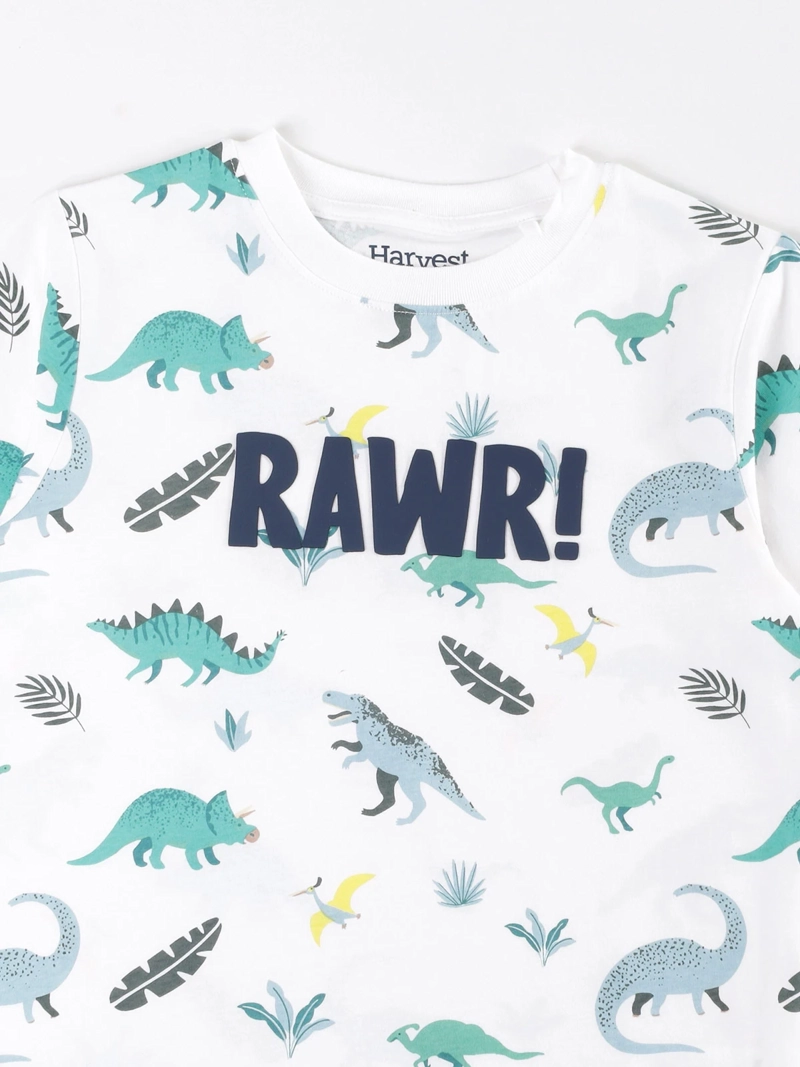 POLERA MANGA CORTA ALGODÓN NIÑO HARVEST PRINT - 3