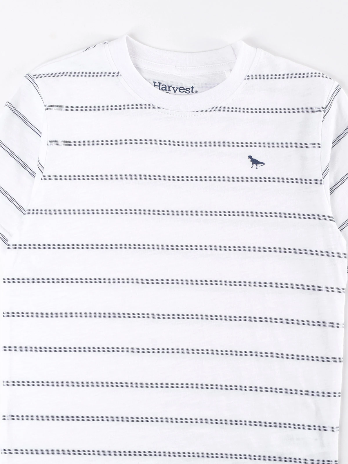 POLERA MANGA CORTA NIÑO HARVEST RAYAS - 3
