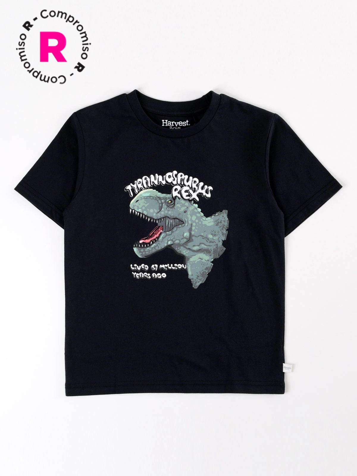 POLERA MANGA CORTA NIÑO HARVEST